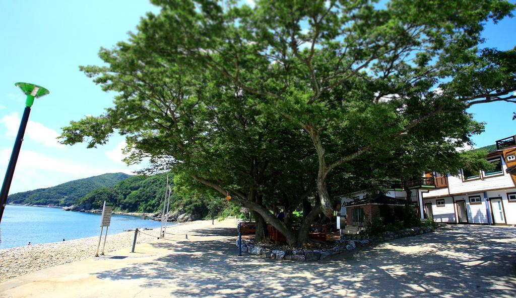 Pinky Marine Pension Namhae Exterior photo